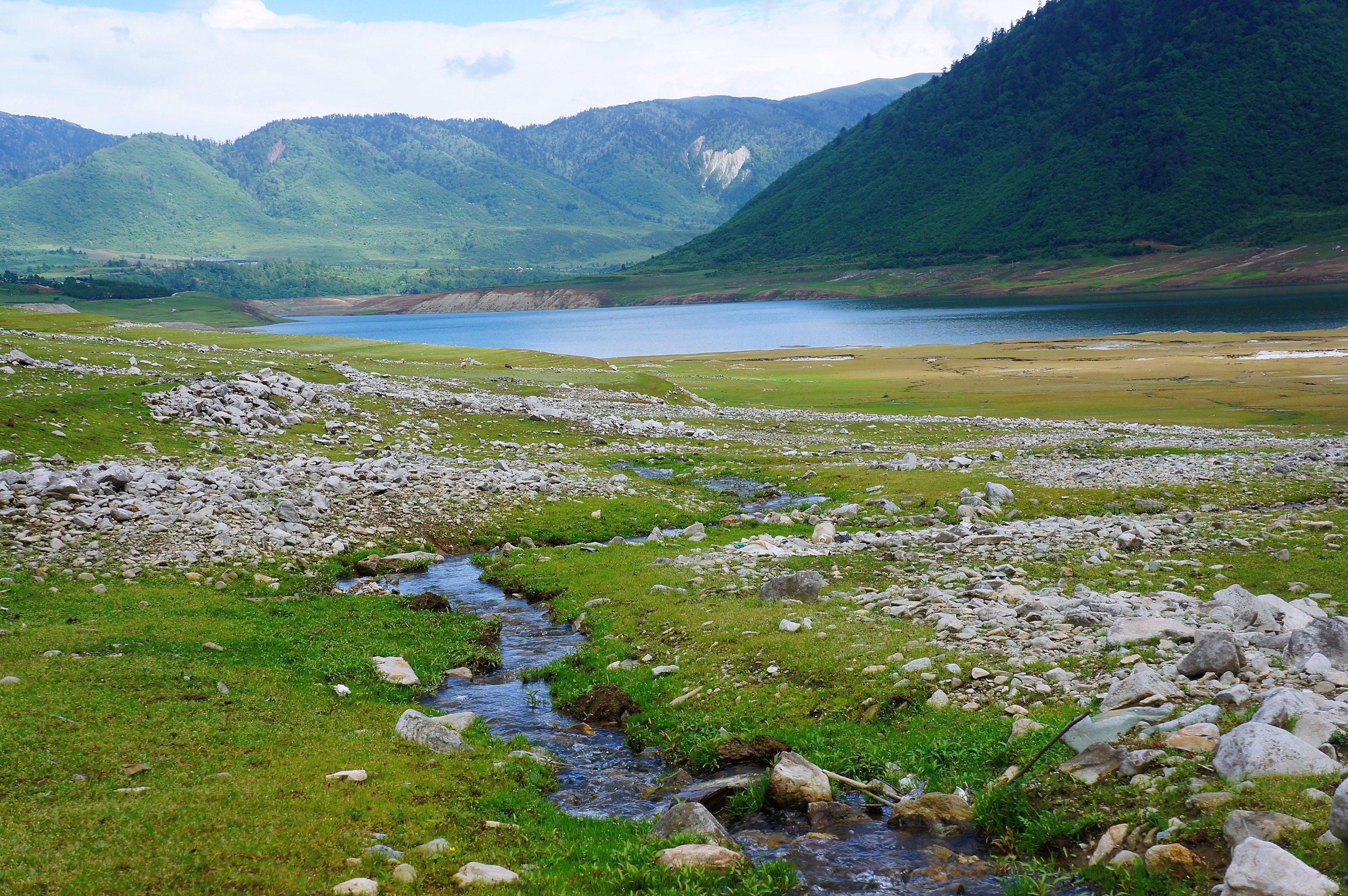Yele Lake and its surrounding green landscape