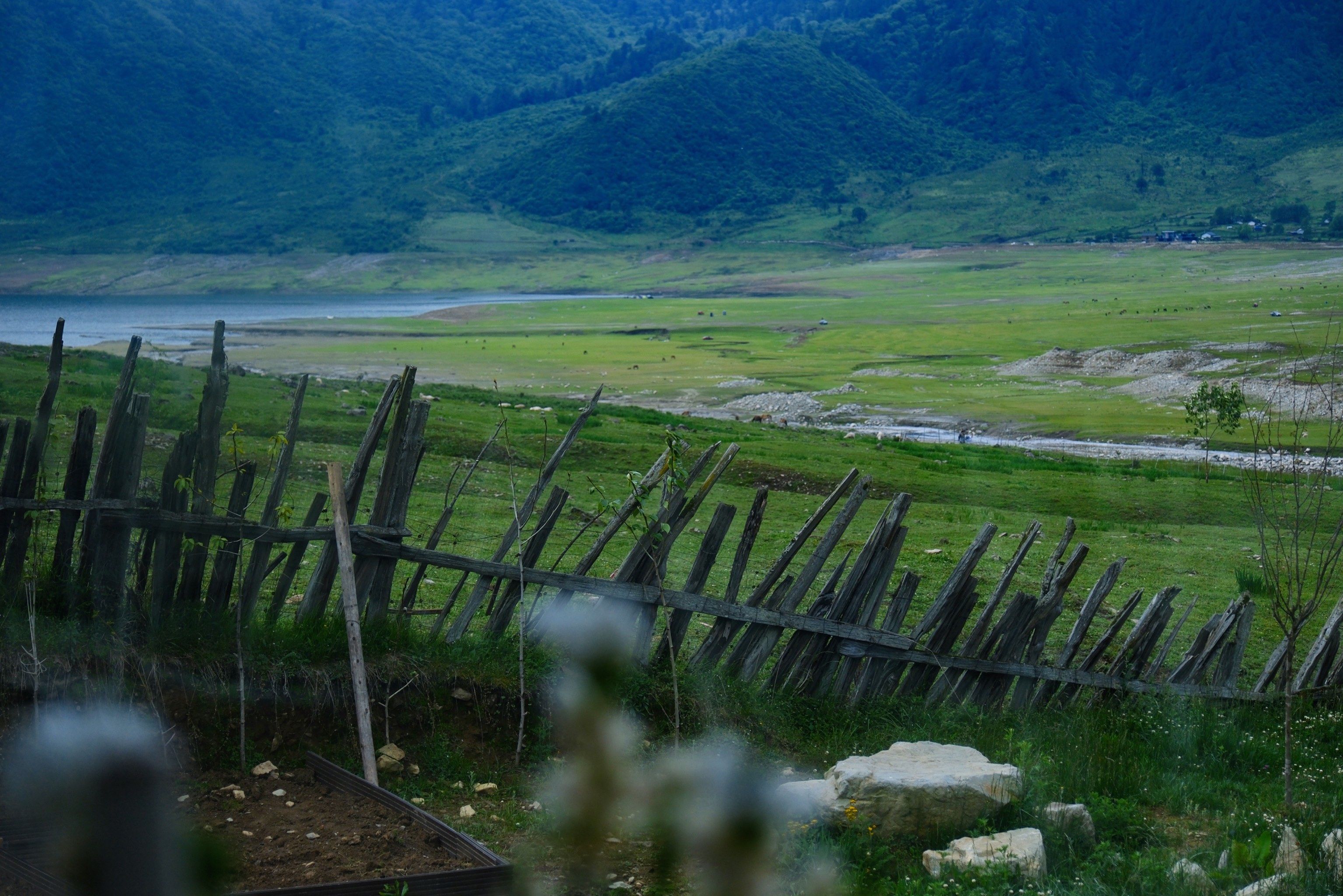 Lakeside landscape at Yele Lake