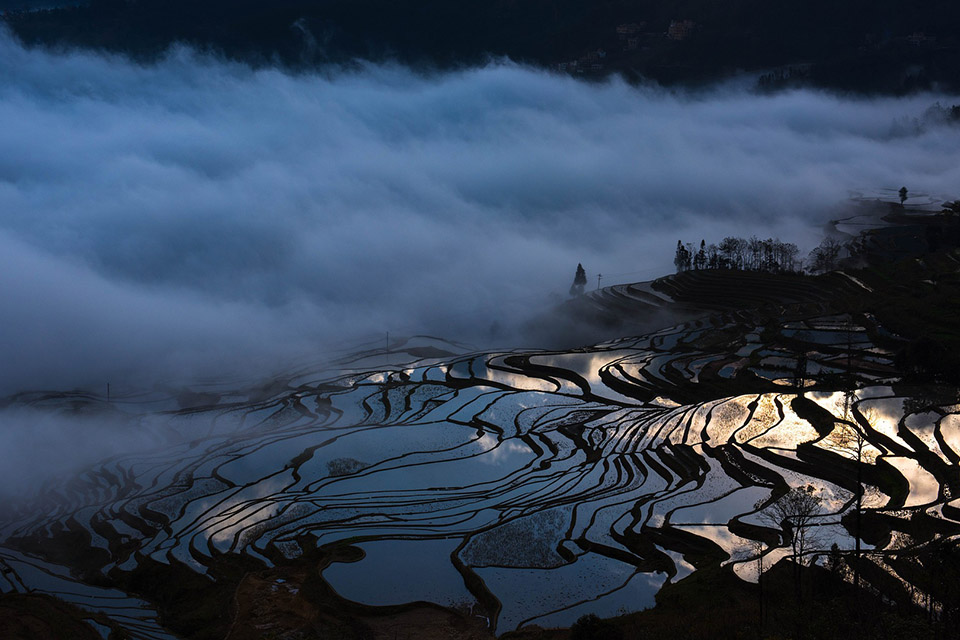Rice terraces in Yunnan