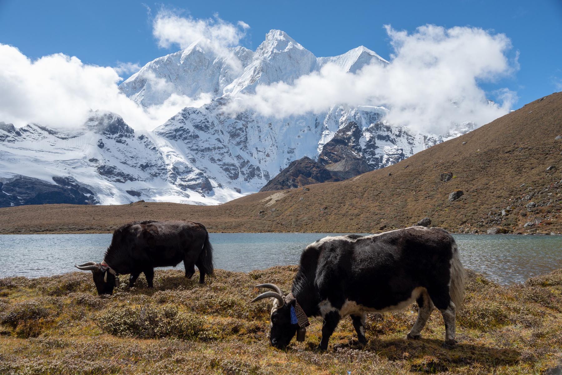 Everest Kangshung Trek