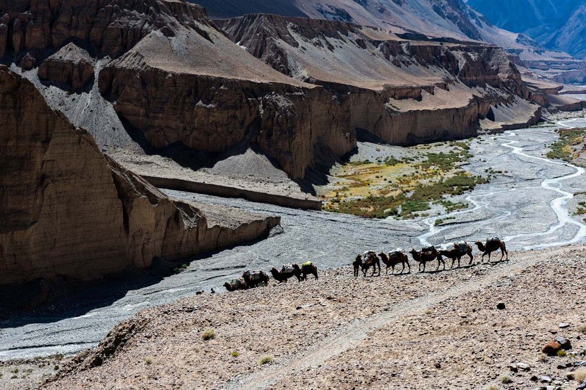 Shaksgam Valley Trek