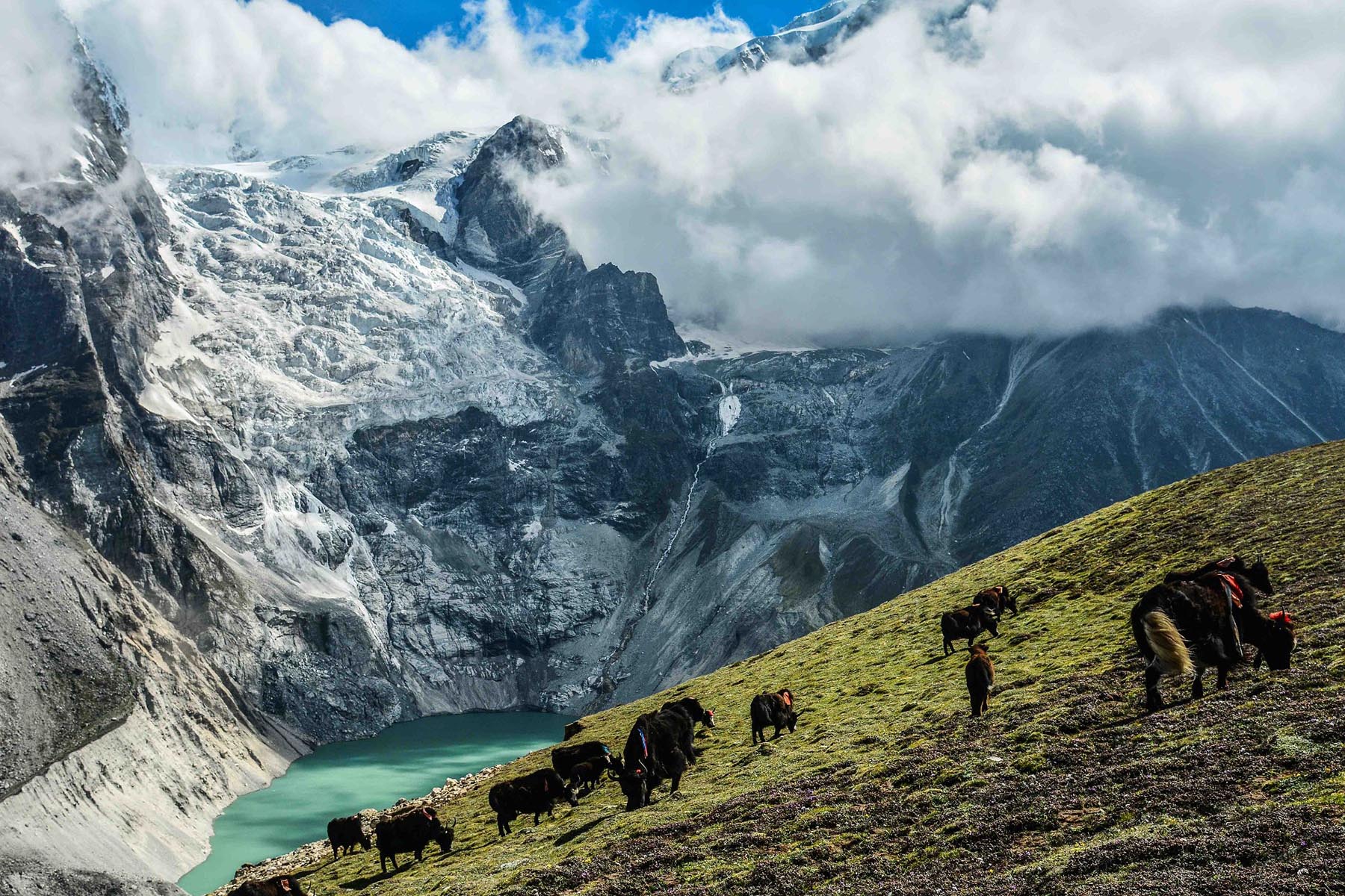 Shishapangma Trek