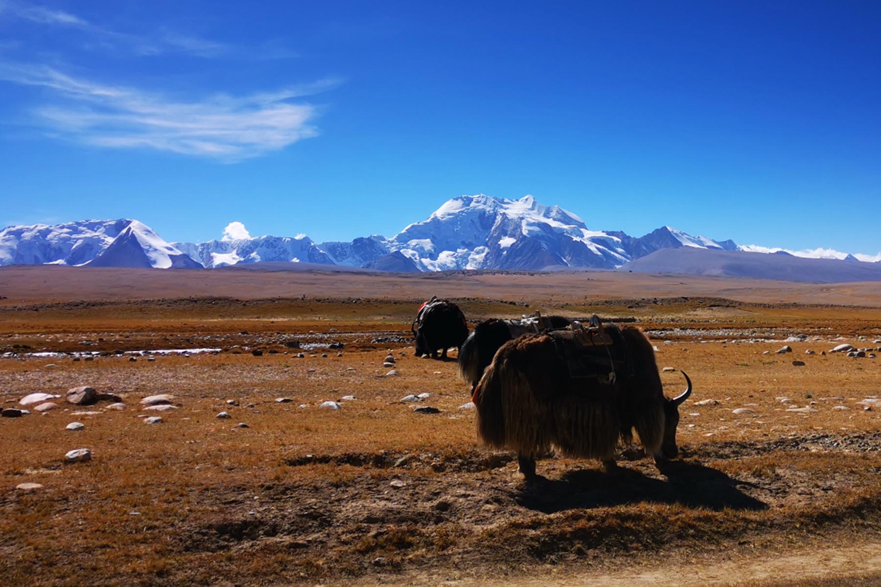 Shishapangma Trek