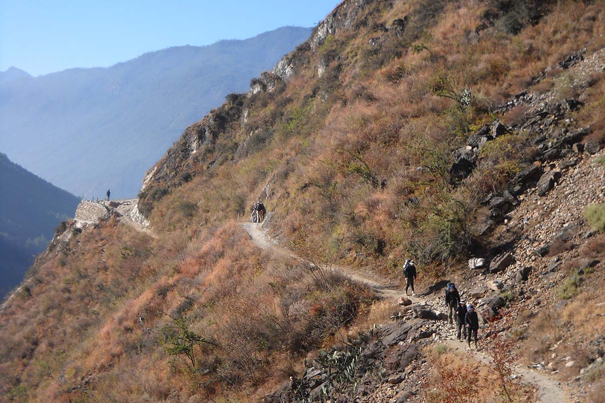 Tiger Leaping Hiking